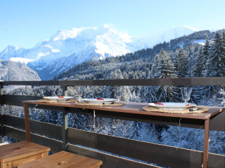 LE CRISTAL appartement avec vue